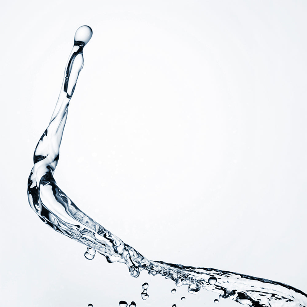 Sea Buckthorn Anti-Pigmentering & Lyster Toner